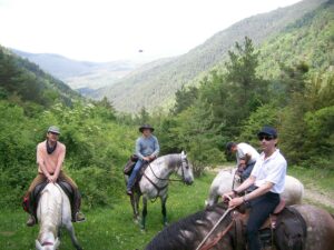 Centro ecuestre “Caballos del Pirineo” en Villanovilla con paseos a caballo en Jaca, Villanúa, Castiello de Jaca y Pirineos