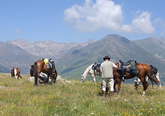 El centro ecuestre “Caballos del Pirineo” es una empresa familiar, situada en un enclave idóneo para la práctica de la equitación, Villanovilla. Realizamos paseos a caballo en Jaca, Villanúa y Castiello de Jaca.